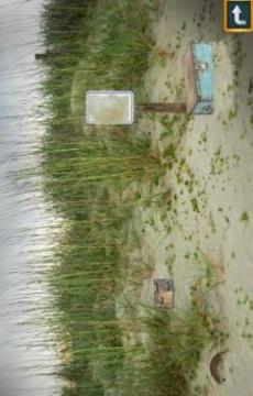 Escape Puzzle: Abandoned Beach游戏截图3