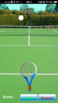 TG Tennis游戏截图1