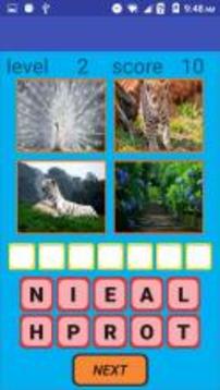 Four Pics One Word游戏截图5