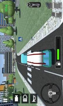 Truck Driver Sim 3D 2018游戏截图4