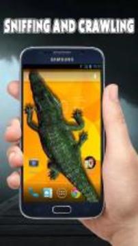 Crocodile in Phone Scary Joke游戏截图3