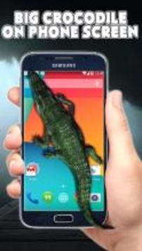 Crocodile in Phone Scary Joke游戏截图4