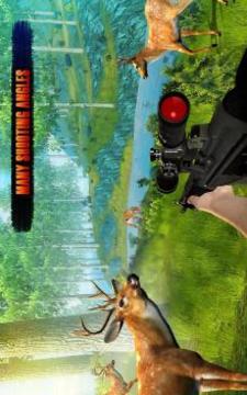 Deer Hunt Sniper Shooting Safari Animals Hunter游戏截图2