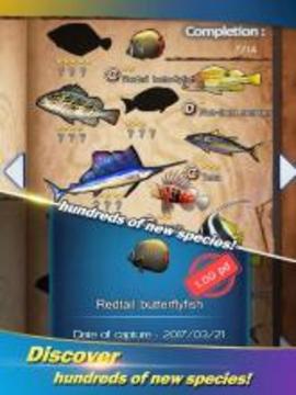 Wild Fishing:Happy Catch游戏截图2