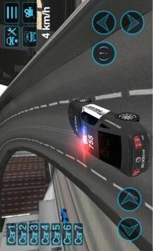 Police Car Driving Sim游戏截图3