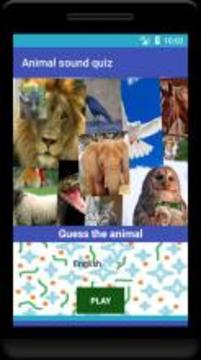 Animal sound quiz游戏截图1