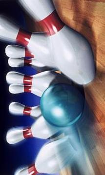 Bowling 3D Game Z游戏截图2