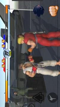 Street Fighter 3D游戏截图5