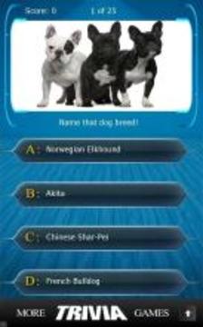 Name that Dog Breed Trivia游戏截图5