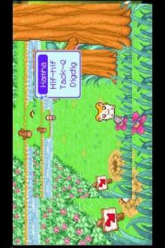 Hint Hamtaro New游戏截图1