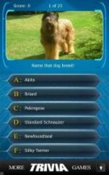 Name that Dog Breed Trivia游戏截图3