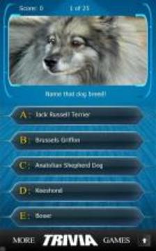 Name that Dog Breed Trivia游戏截图2