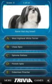 Name that Dog Breed Trivia游戏截图1