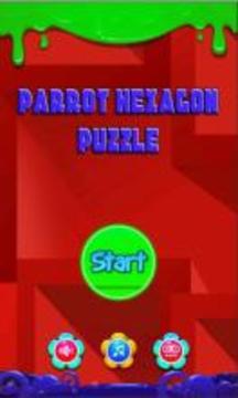 Parrot Hexagon Puzzle游戏截图1