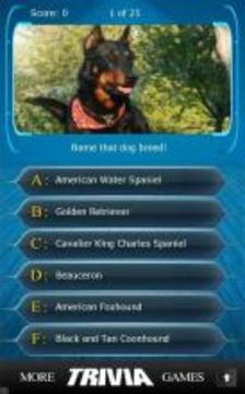 Name that Dog Breed Trivia游戏截图4