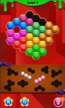 Parrot Hexagon Puzzle游戏截图5