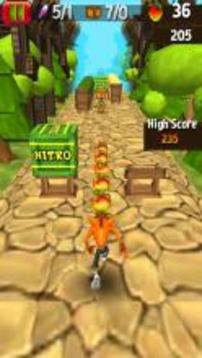 Temple Crash Jungle Run Bandicot游戏截图2