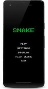 Old Snake Game游戏截图1