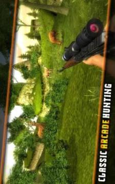 Top Deer Hunting Games游戏截图4