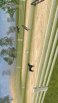 Rottweiler Dog Life Simulator游戏截图4