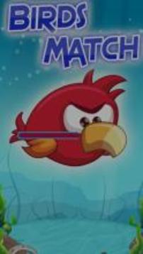 Birds Match Mania游戏截图1