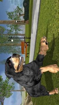 Rottweiler Dog Life Simulator游戏截图5