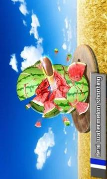 Watermelon Fruit 3D Shoot游戏截图1