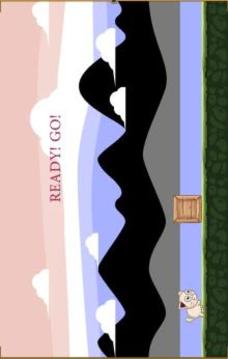 Cuty Cat Runner游戏截图2