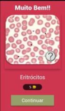 Questionário de Hematologia游戏截图2