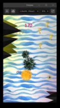 Indian Ocean游戏截图2