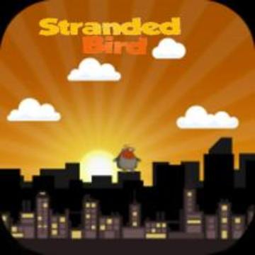 Stranded Bird游戏截图2