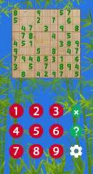 Super Sudoku Pro游戏截图2