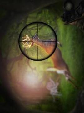 Classic Deer hunting: Sniper Shootout 2018游戏截图3