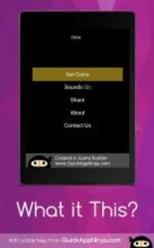 What is This?游戏截图3