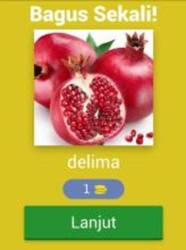 Edukasi Anak : Tebak Gambar Buah游戏截图5
