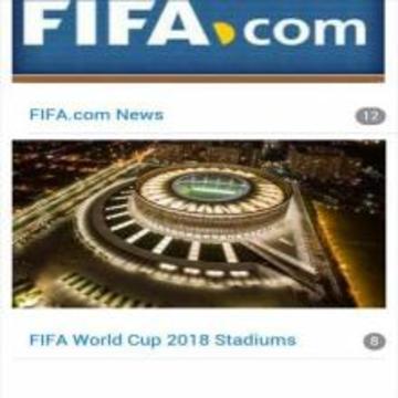World Cup Russia 2018游戏截图3
