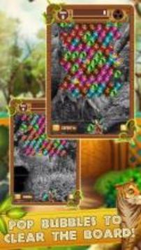 Bubble Shooter Quest - Animal Safari Adventure游戏截图5