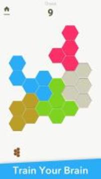 Block Puzzles Pack游戏截图3