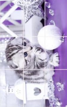 kittens Puzzle游戏截图2