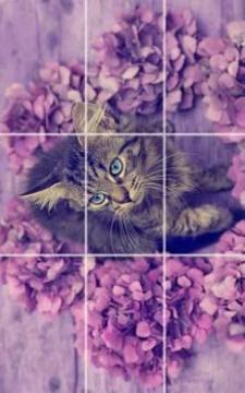 kittens Puzzle游戏截图1