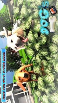 DOGS LIFE : Free Dog Games游戏截图3