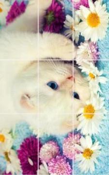 kittens Puzzle游戏截图5