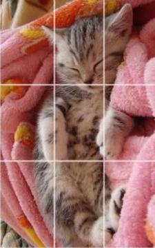 kittens Puzzle游戏截图3