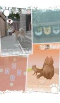 Escape game : Lost Cat Story游戏截图3