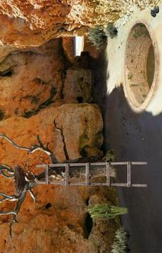 Can You Escape Underground Mine游戏截图3
