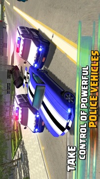 Police Car Chase 2游戏截图3