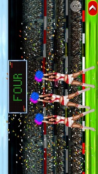 T20 Cricket 2012游戏截图5