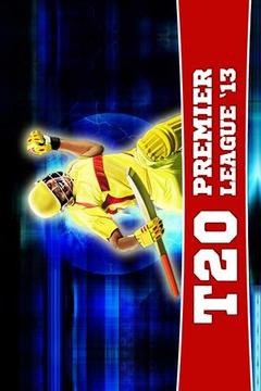 T20 Premier League 2013游戏截图1