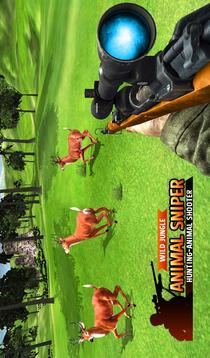 森林 动物 狙击兵 狩猎 3D游戏截图5