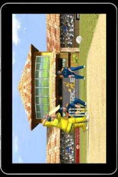 Cricket Games 2017 New Free游戏截图4